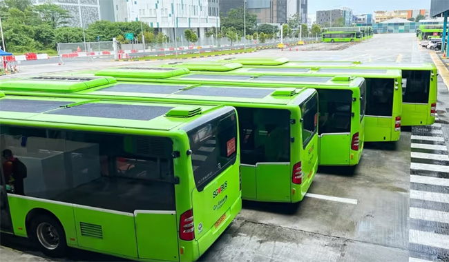 Zgoda na wdrożenie 50 kolejnych autobusów wyposażonych w ultracienkie panele słoneczne