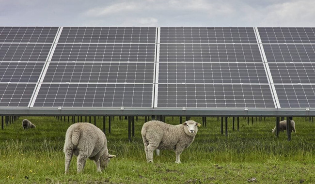 Wietnam publikuje najnowszą politykę dotyczącą energii słonecznej!